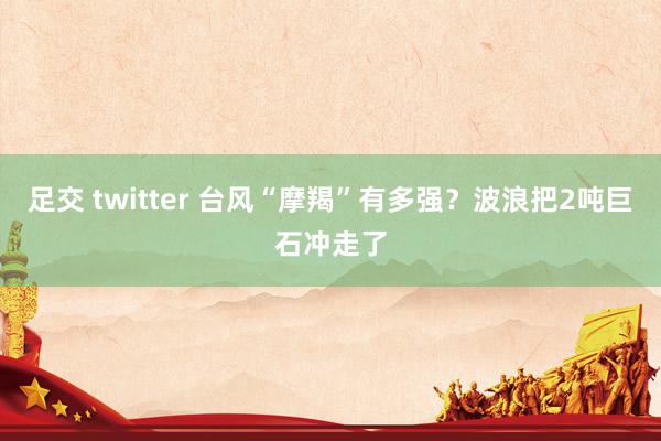 足交 twitter 台风“摩羯”有多强？波浪把2吨巨石冲走了