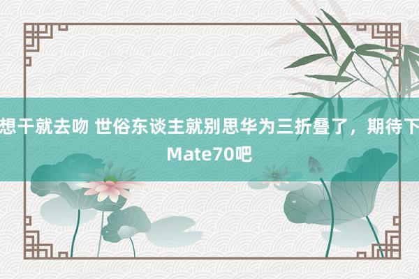 想干就去吻 世俗东谈主就别思华为三折叠了，期待下Mate70吧