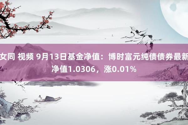 女同 视频 9月13日基金净值：博时富元纯债债券最新净值1.0306，涨0.01%