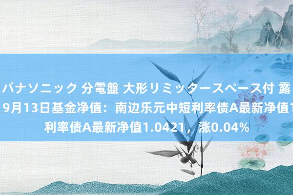 パナソニック 分電盤 大形リミッタースペース付 露出・半埋込両用形 9月13日基金净值：南边乐元中短利率债A最新净值1.0421，涨0.04%