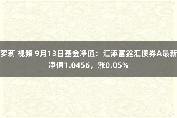 萝莉 视频 9月13日基金净值：汇添富鑫汇债券A最新净值1.0456，涨0.05%