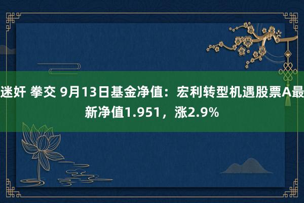 迷奸 拳交 9月13日基金净值：宏利转型机遇股票A最新净值1.951，涨2.9%