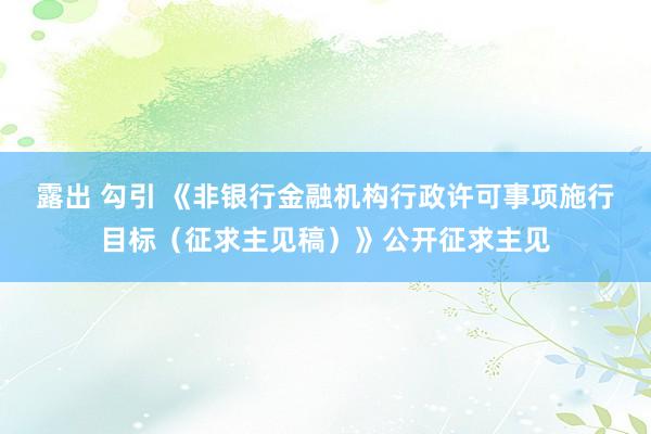 露出 勾引 《非银行金融机构行政许可事项施行目标（征求主见稿）》公开征求主见