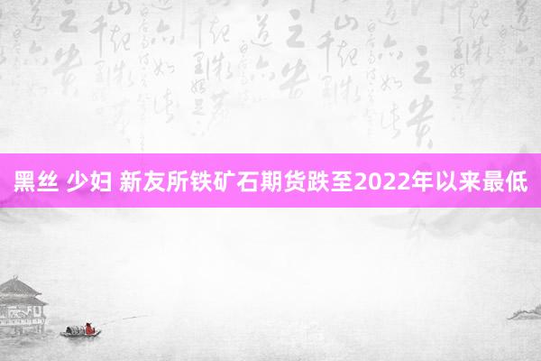 黑丝 少妇 新友所铁矿石期货跌至2022年以来最低