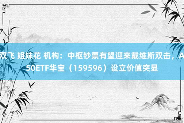 双飞 姐妹花 机构：中枢钞票有望迎来戴维斯双击，A50ETF华宝（159596）设立价值突显