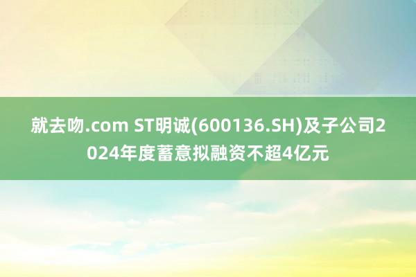 就去吻.com ST明诚(600136.SH)及子公司2024年度蓄意拟融资不超4亿元