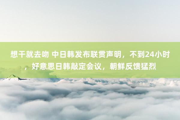 想干就去吻 中日韩发布联贯声明，不到24小时，好意思日韩敲定会议，朝鲜反馈猛烈