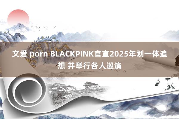 文爱 porn BLACKPINK官宣2025年划一体追想 并举行各人巡演