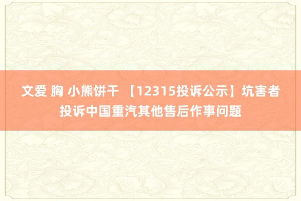 文爱 胸 小熊饼干 【12315投诉公示】坑害者投诉中国重汽其他售后作事问题