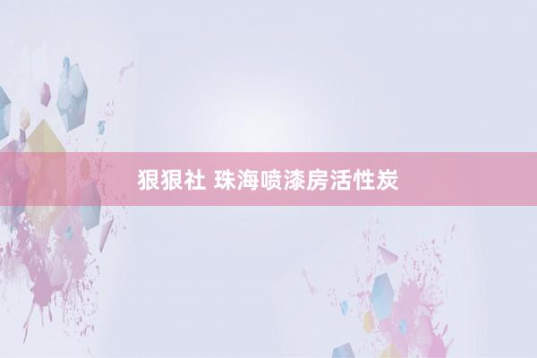 狠狠社 珠海喷漆房活性炭