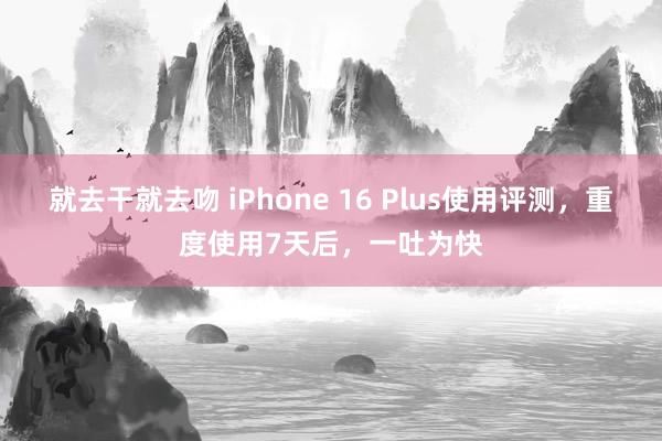 就去干就去吻 iPhone 16 Plus使用评测，重度使用7天后，一吐为快