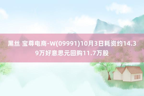 黑丝 宝尊电商-W(09991)10月3日耗资约14.39万好意思元回购11.7万股