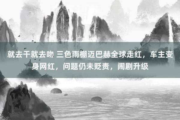 就去干就去吻 三色雨棚迈巴赫全球走红，车主变身网红，问题仍未贬责，闹剧升级