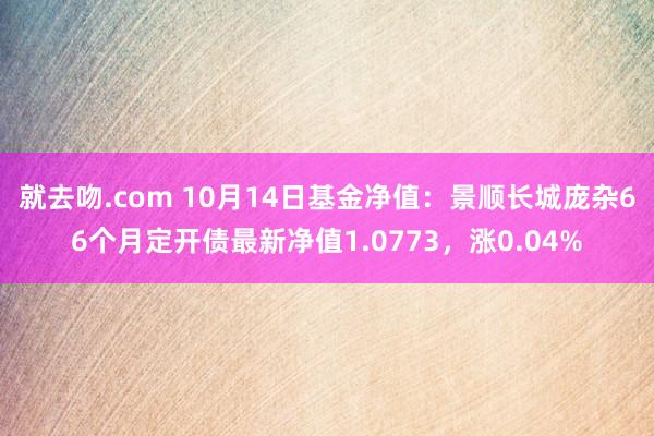 就去吻.com 10月14日基金净值：景顺长城庞杂66个月定开债最新净值1.0773，涨0.04%