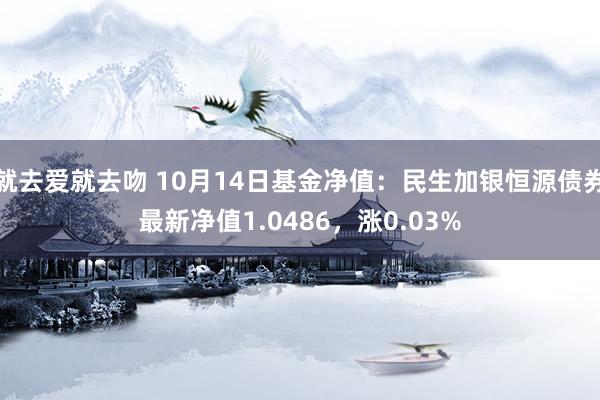 就去爱就去吻 10月14日基金净值：民生加银恒源债券最新净值1.0486，涨0.03%