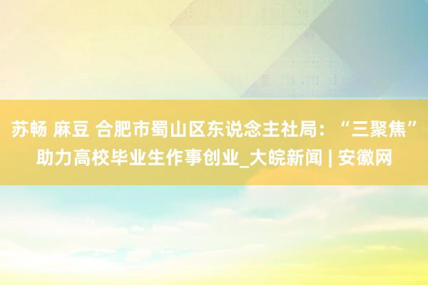 苏畅 麻豆 合肥市蜀山区东说念主社局：“三聚焦”助力高校毕业生作事创业_大皖新闻 | 安徽网