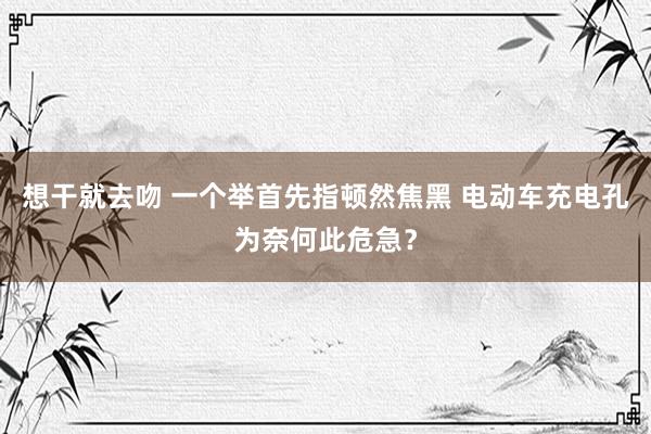 想干就去吻 一个举首先指顿然焦黑 电动车充电孔为奈何此危急？