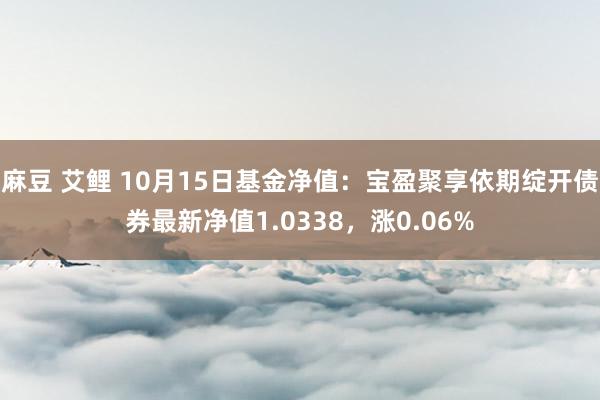 麻豆 艾鲤 10月15日基金净值：宝盈聚享依期绽开债券最新净值1.0338，涨0.06%