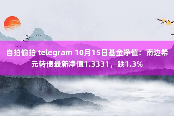 自拍偷拍 telegram 10月15日基金净值：南边希元转债最新净值1.3331，跌1.3%