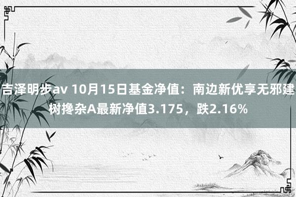 吉泽明步av 10月15日基金净值：南边新优享无邪建树搀杂A最新净值3.175，跌2.16%