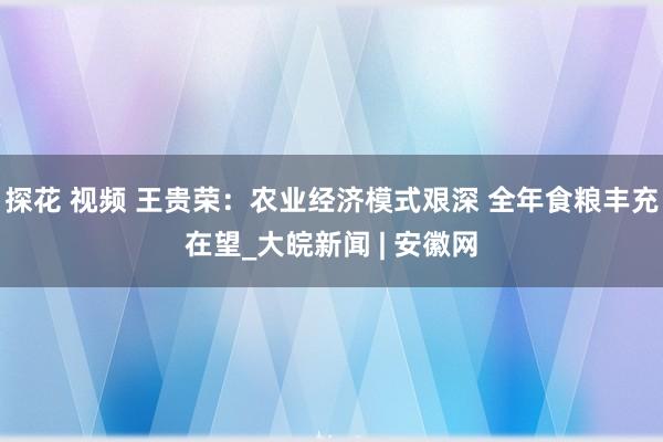 探花 视频 王贵荣：农业经济模式艰深 全年食粮丰充在望_大皖新闻 | 安徽网