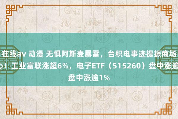 在线av 动漫 无惧阿斯麦暴雷，台积电事迹提振商场信心！工业富联涨超6%，电子ETF（515260）盘中涨逾1%