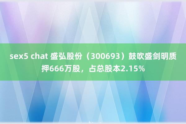 sex5 chat 盛弘股份（300693）鼓吹盛剑明质押666万股，占总股本2.15%