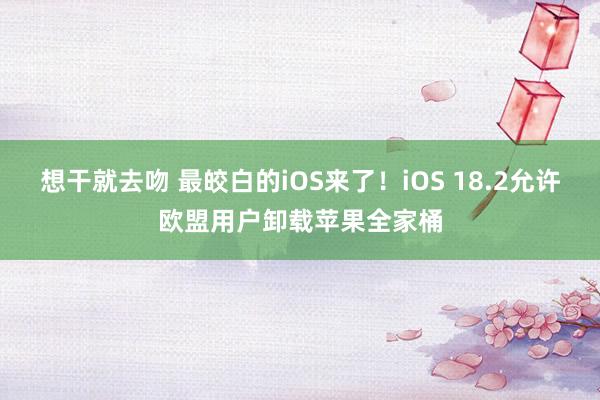 想干就去吻 最皎白的iOS来了！iOS 18.2允许欧盟用户卸载苹果全家桶