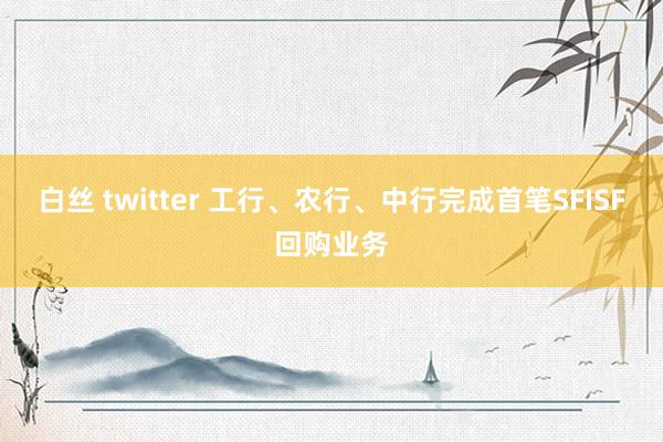 白丝 twitter 工行、农行、中行完成首笔SFISF回购业务