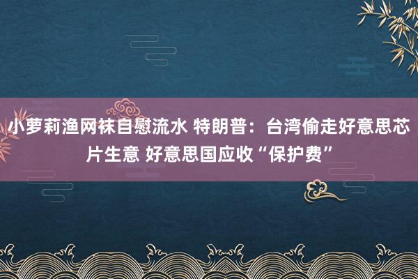 小萝莉渔网袜自慰流水 特朗普：台湾偷走好意思芯片生意 好意思国应收“保护费”