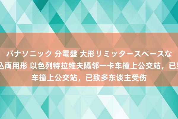 パナソニック 分電盤 大形リミッタースペースなし 露出・半埋込両用形 以色列特拉维夫隔邻一卡车撞上公交站，已致多东谈主受伤