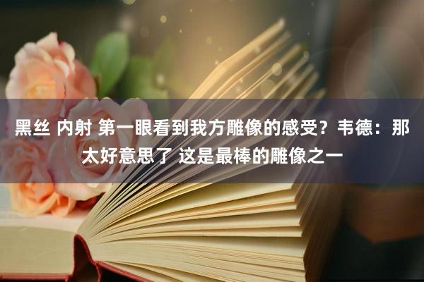 黑丝 内射 第一眼看到我方雕像的感受？韦德：那太好意思了 这是最棒的雕像之一