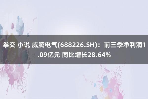 拳交 小说 威腾电气(688226.SH)：前三季净利润1.09亿元 同比增长28.64%