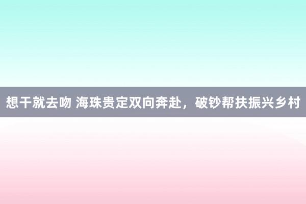 想干就去吻 海珠贵定双向奔赴，破钞帮扶振兴乡村