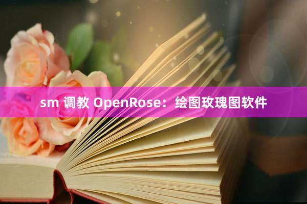 sm 调教 OpenRose：绘图玫瑰图软件