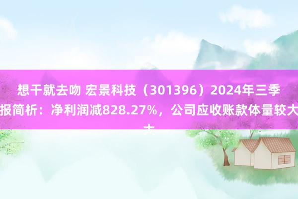 想干就去吻 宏景科技（301396）2024年三季报简析：净利润减828.27%，公司应收账款体量较大