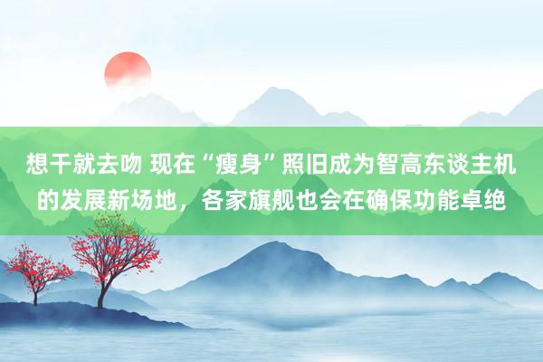 想干就去吻 现在“瘦身”照旧成为智高东谈主机的发展新场地，各家旗舰也会在确保功能卓绝