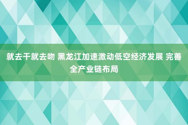 就去干就去吻 黑龙江加速激动低空经济发展 完善全产业链布局