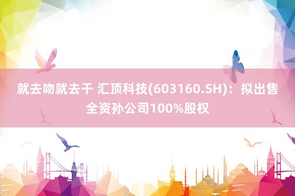 就去吻就去干 汇顶科技(603160.SH)：拟出售全资孙公司100%股权