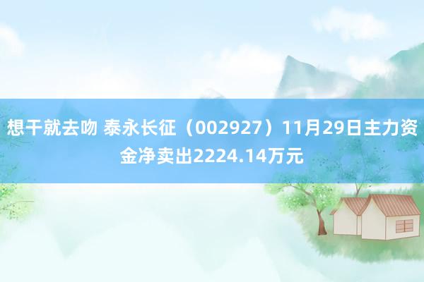 想干就去吻 泰永长征（002927）11月29日主力资金净卖出2224.14万元