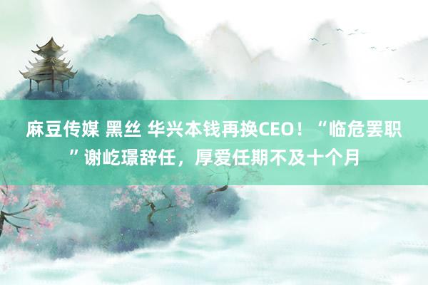 麻豆传媒 黑丝 华兴本钱再换CEO！“临危罢职”谢屹璟辞任，厚爱任期不及十个月