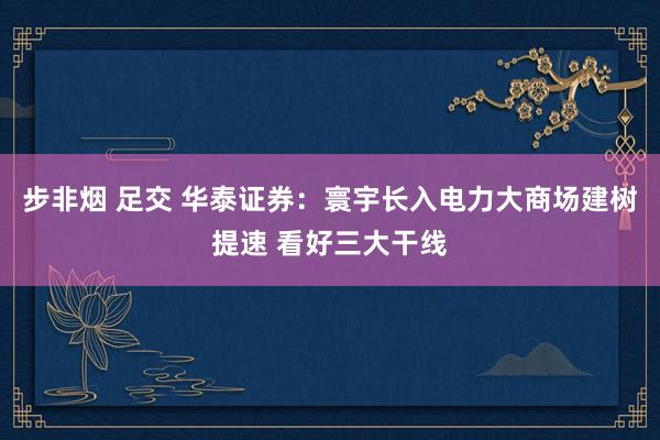 步非烟 足交 华泰证券：寰宇长入电力大商场建树提速 看好三大干线