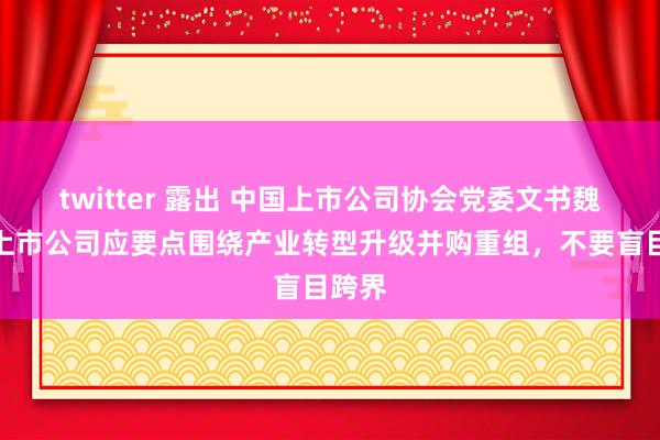 twitter 露出 中国上市公司协会党委文书魏峰：上市公司应要点围绕产业转型升级并购重组，不要盲目跨界