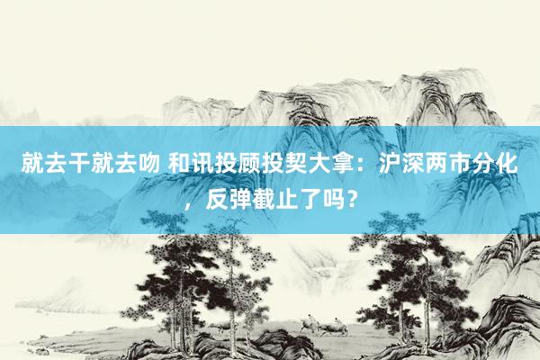 就去干就去吻 和讯投顾投契大拿：沪深两市分化，反弹截止了吗？