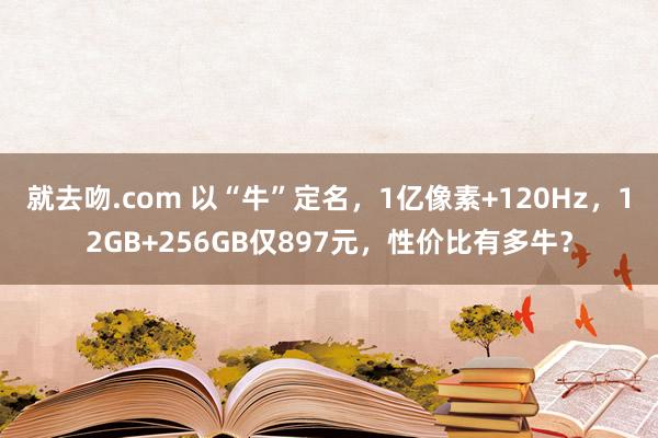 就去吻.com 以“牛”定名，1亿像素+120Hz，12GB+256GB仅897元，性价比有多牛？