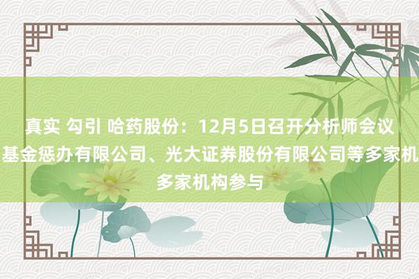 真实 勾引 哈药股份：12月5日召开分析师会议，鹏扬基金惩办有限公司、光大证券股份有限公司等多家机构参与