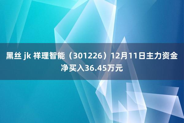 黑丝 jk 祥理智能（301226）12月11日主力资金净买入36.45万元