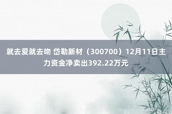 就去爱就去吻 岱勒新材（300700）12月11日主力资金净卖出392.22万元