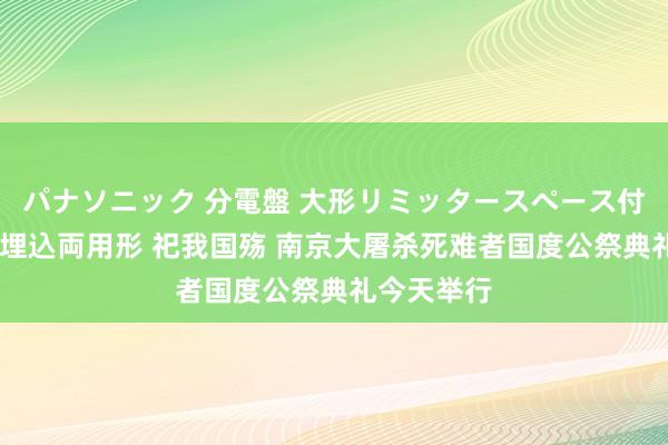 パナソニック 分電盤 大形リミッタースペース付 露出・半埋込両用形 祀我国殇 南京大屠杀死难者国度公祭典礼今天举行