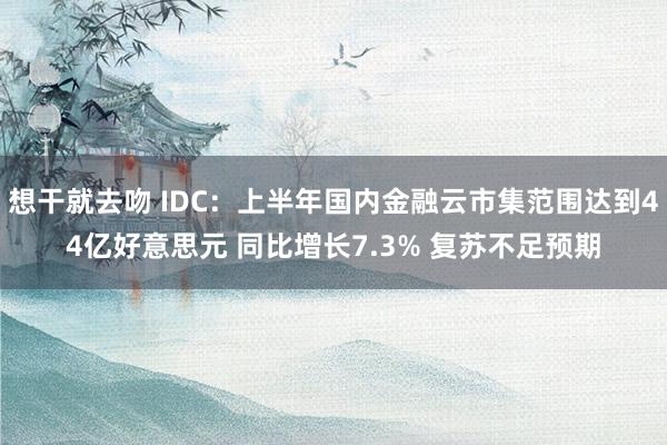 想干就去吻 IDC：上半年国内金融云市集范围达到44亿好意思元 同比增长7.3% 复苏不足预期